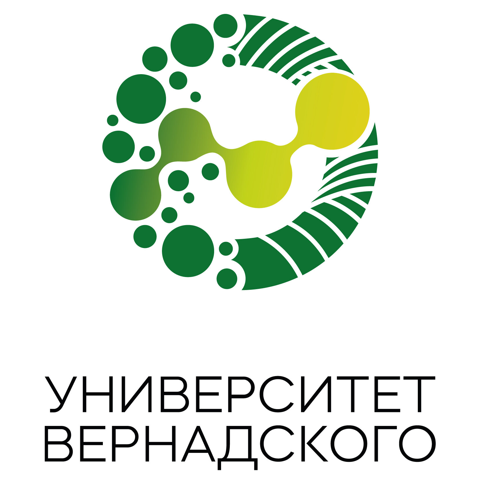 V. I. Vernadskiy nomidagi Rossiya davlat xalq xo‘jaligi universiteti